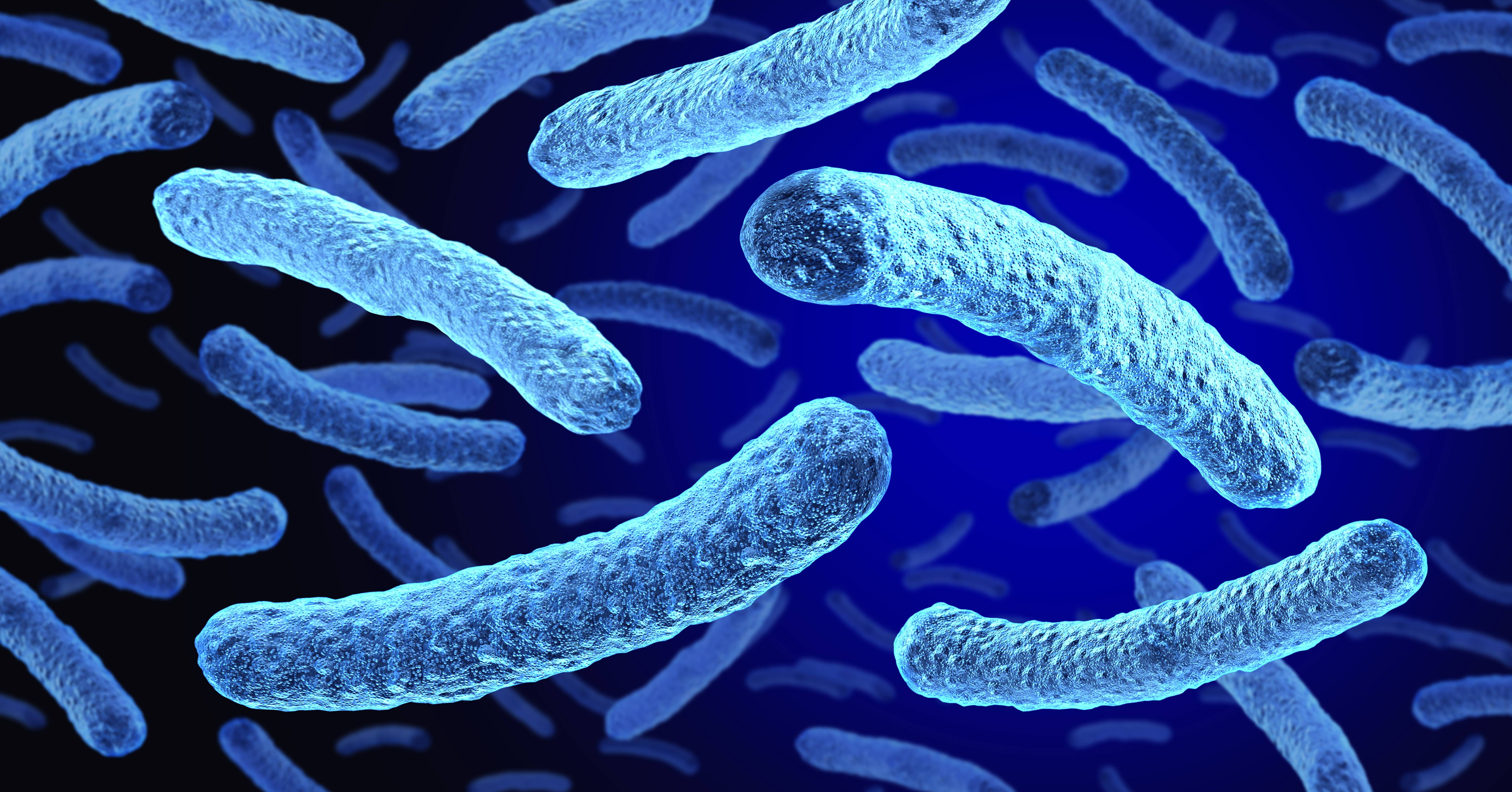 Tests confirmed live Legionella at 7 South Bronx sites amid Legionnaires' outbreak — Gothamist, Minot Community news