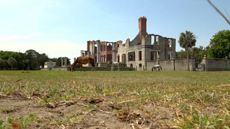 Cumberland Island land swap proposal faces pushback at public meeting — First Coast News Local